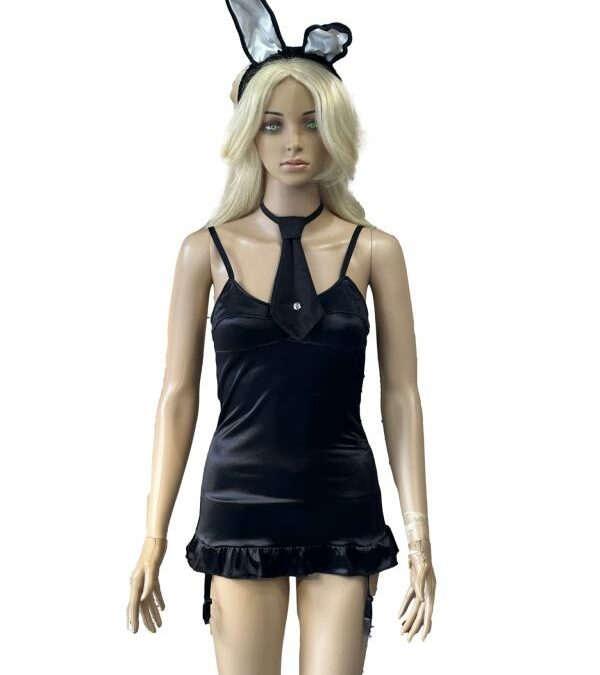 Sexy Playboy Bunny Costume – Adult