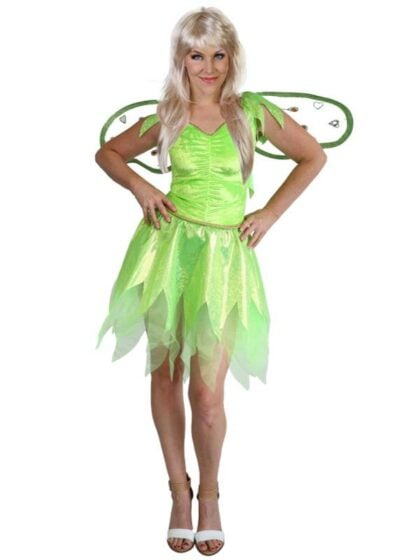 Green Fairy Costume