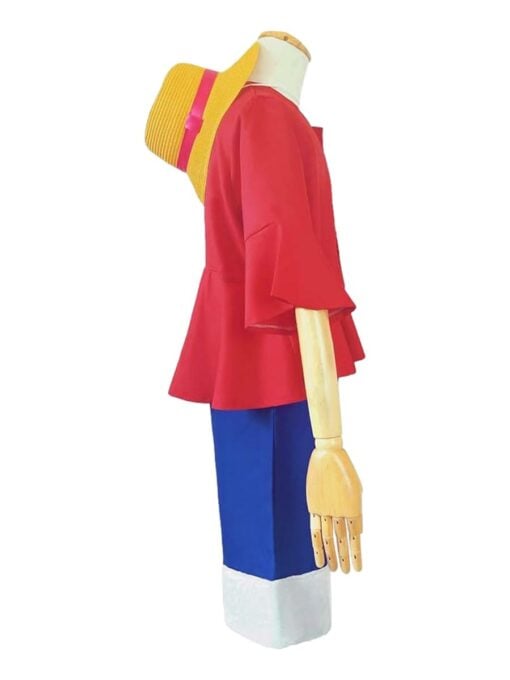 Monkey D. Luffy One Piece Costume