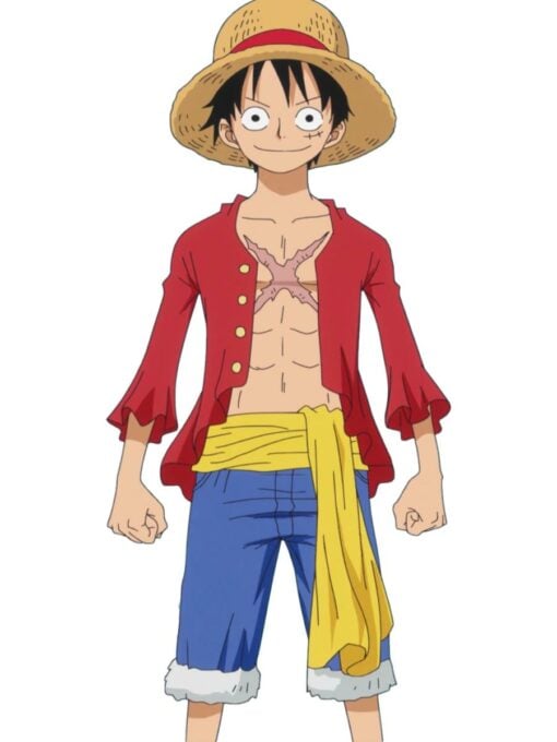 Luffy One Piece Costume – Ultimate Pirate Adventure Awaits!