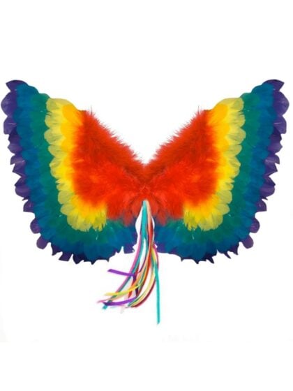 Small Rainbow Feather Wings