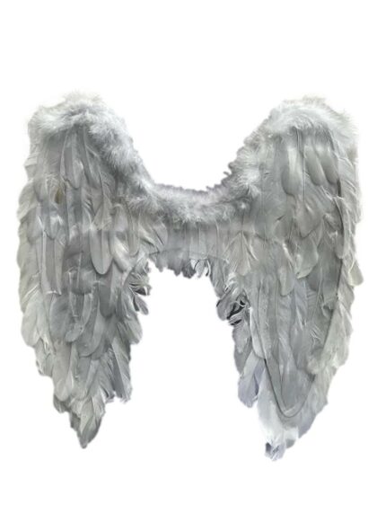 large white feather wings
