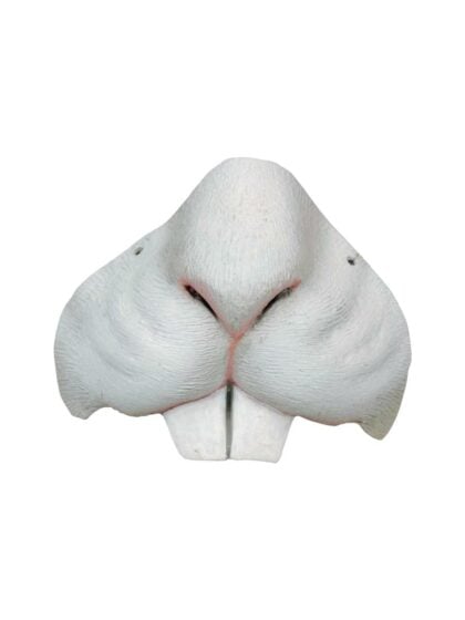 Bunny Rabbit Nose