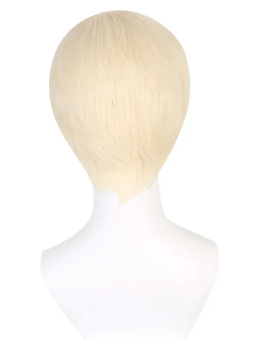 Blonde Ken Wig