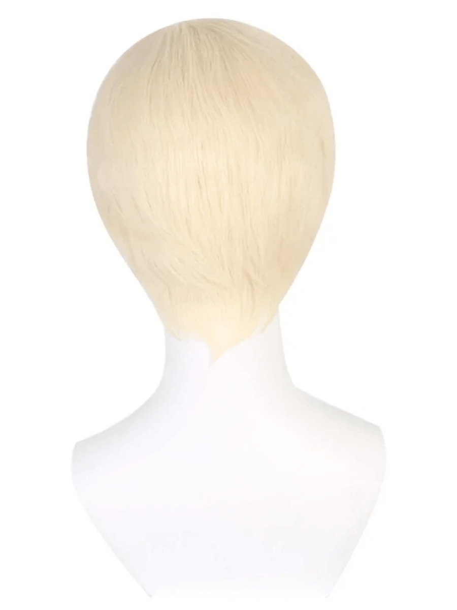 Blonde Ken Wig