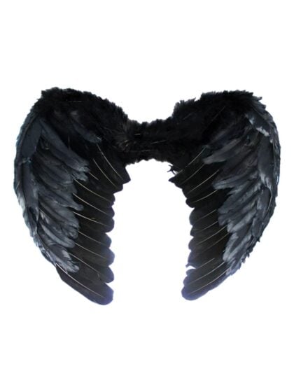 Small Black Angel Wings