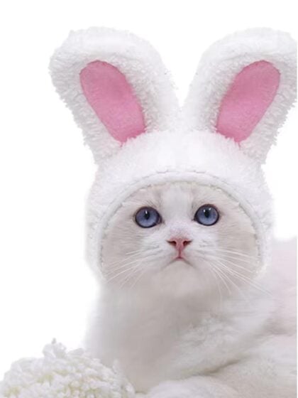 Easter Bunny Hood for Pets