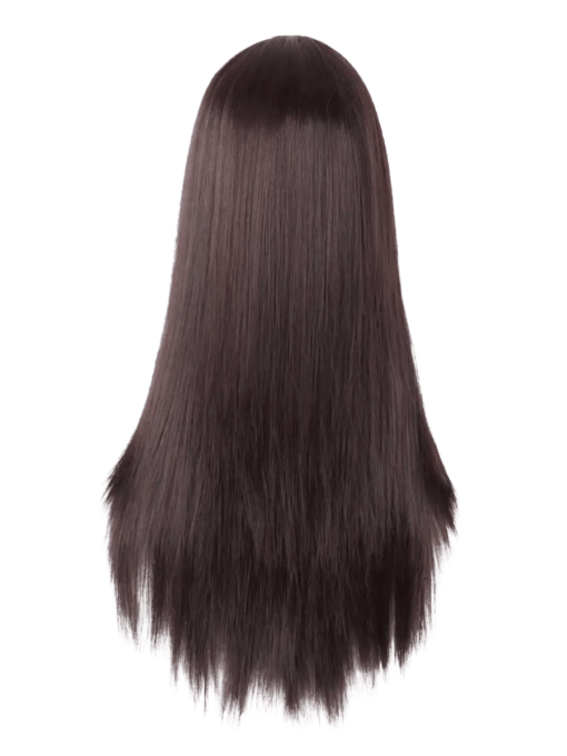 Long Brown Wig