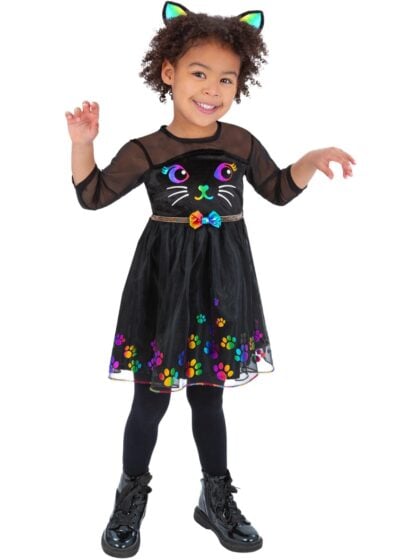 Rainbow cat costume