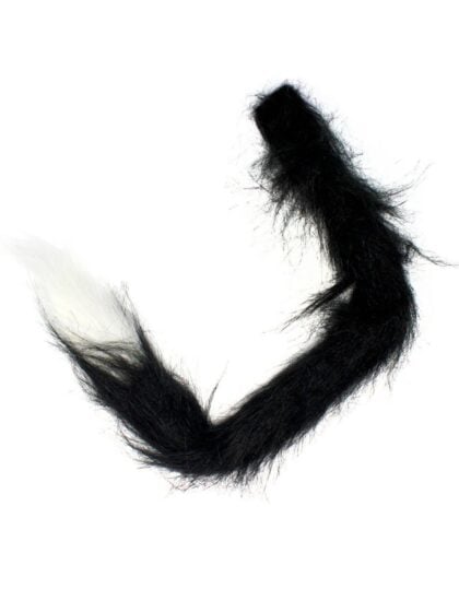 Black and White cat tail