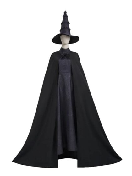Wicked Witch Costume