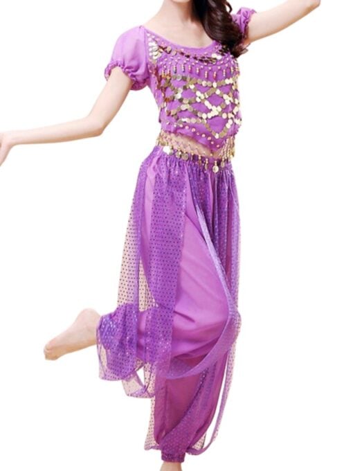 Purple Belly Dancer Costume