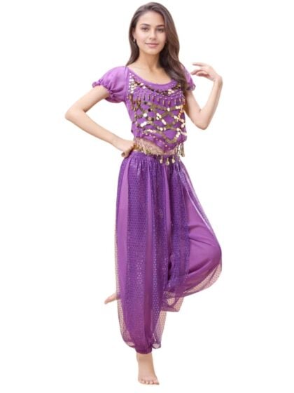 Purple Belly Dancer Costume