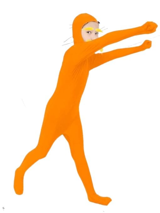 lorax costume child