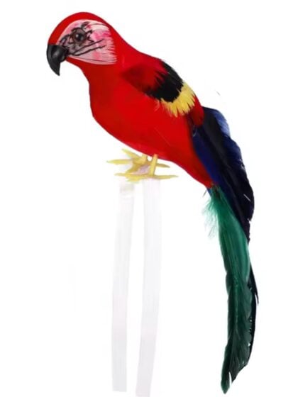 Pirate Parrot Shoulder accessory